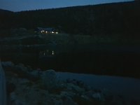 tramp-2019 (83)